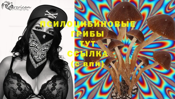 крисы Володарск