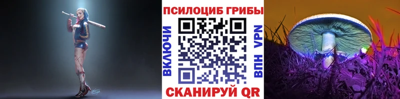 Псилоцибиновые грибы мухоморы  Данилов 